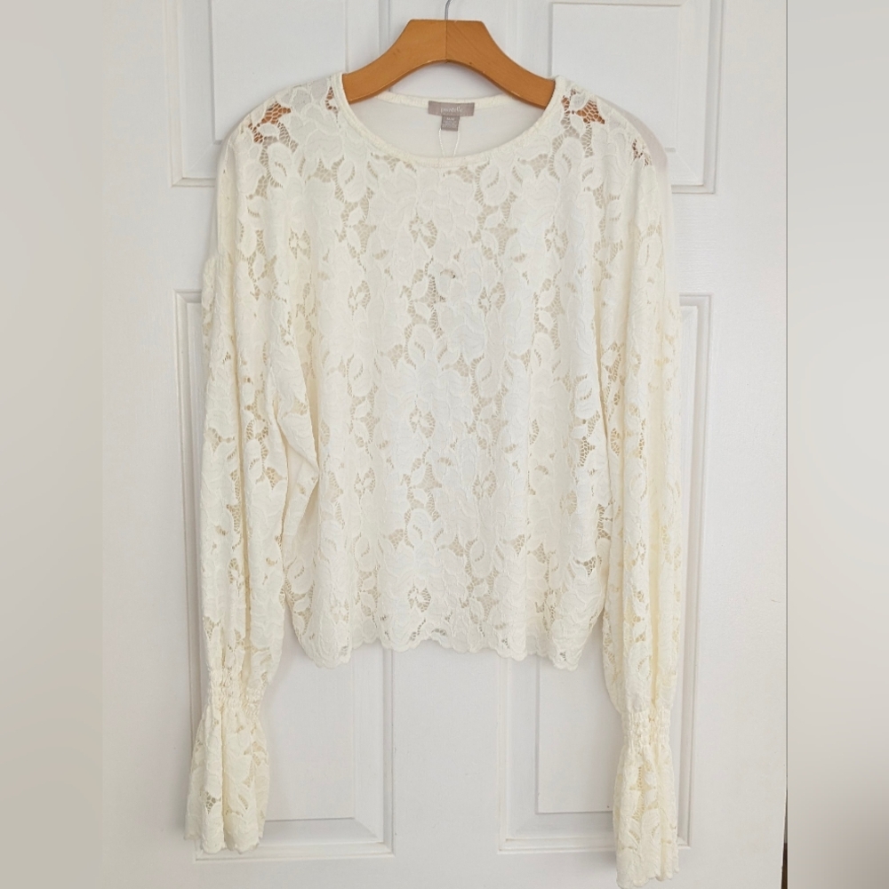 Elegant Lace Top With Long Sleeves